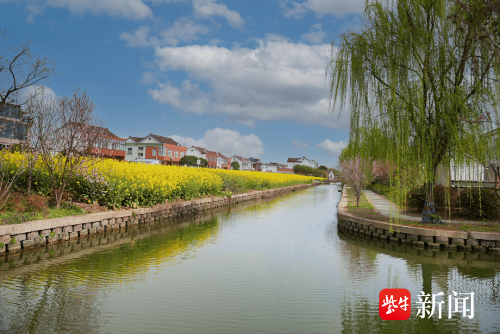 张家港市乐余镇永利村找准靶向精准发力打造现代化新农村