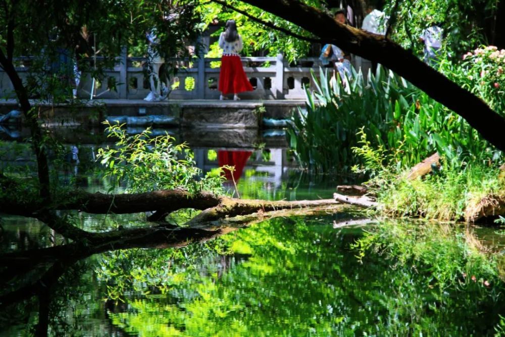 看青龙河碧水盈盈夏日情寄束河古镇