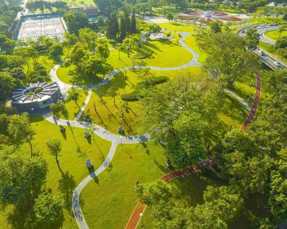 徜徉绿地,满眼绿色太治愈了!