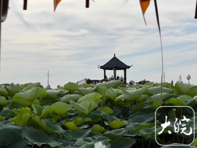 依托遗址,柳江口文化园国家 3a 级景区,深挖隋唐运河文化,农耕文化