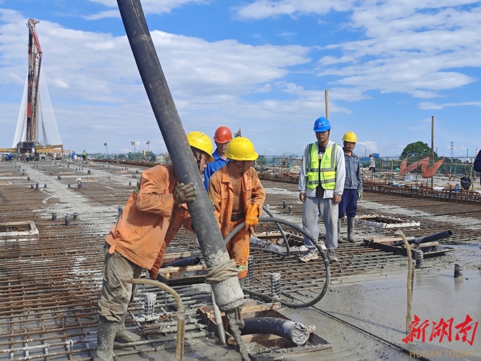 杨梅洲大桥主线混凝土梁浇筑完成