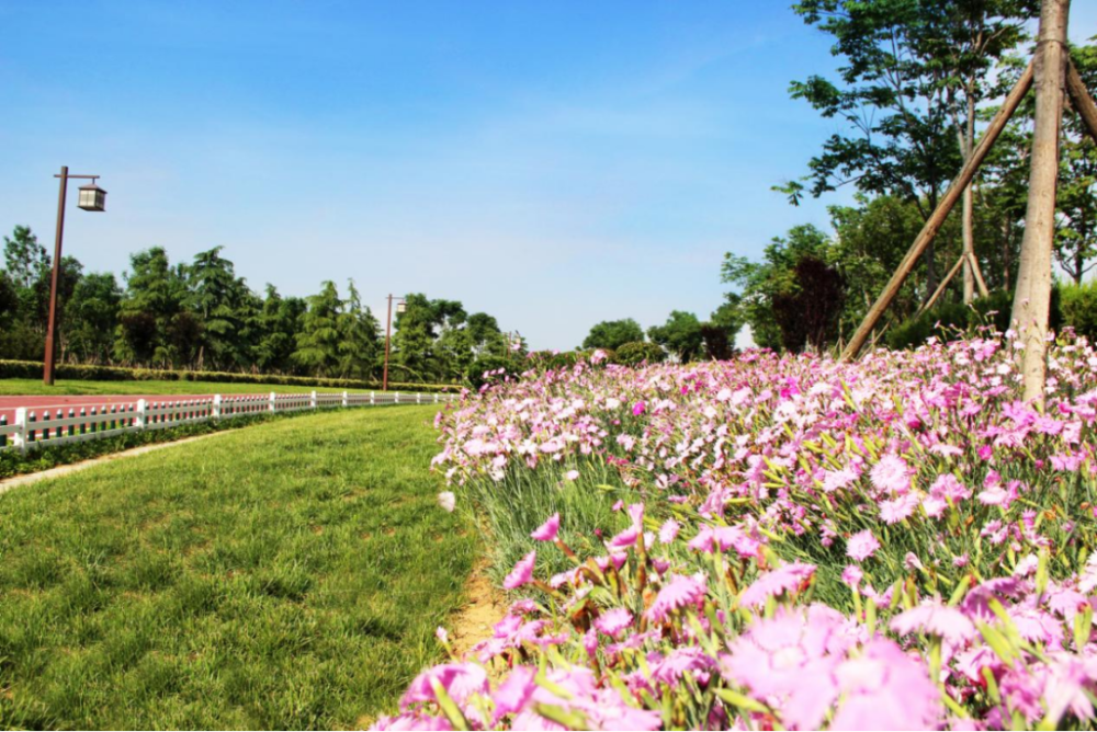 春暖花开 送你一份宁阳县春游路线指南_腾讯新闻