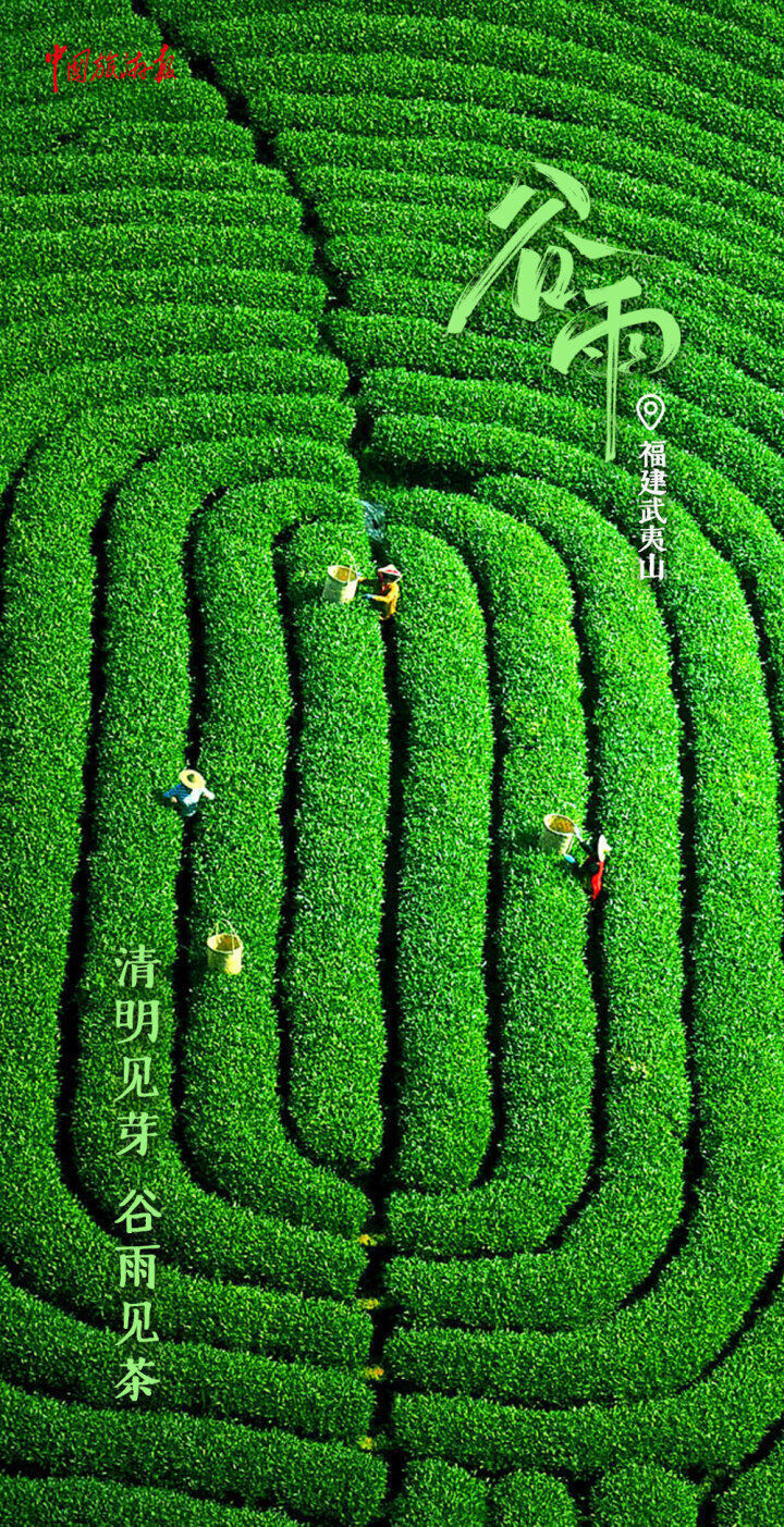 谷雨丨一"谷"作气,迎接更多美好