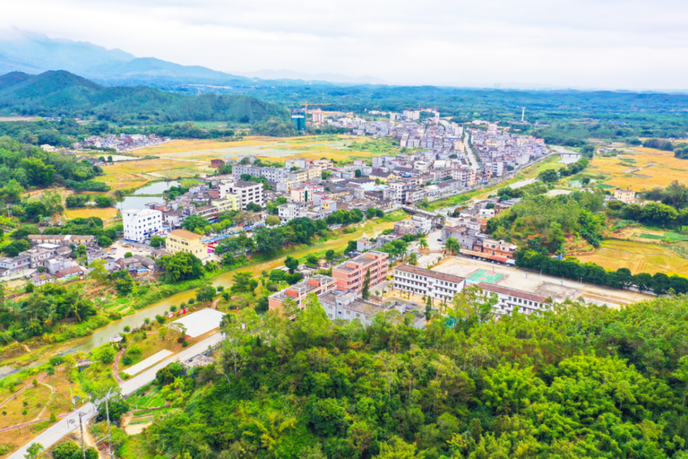 "森林城镇"数量全省第一!绿美江门,到底有多宜居?