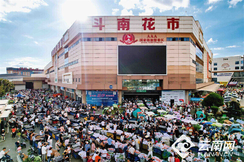 昆明斗南花市迎来七夕交易高峰