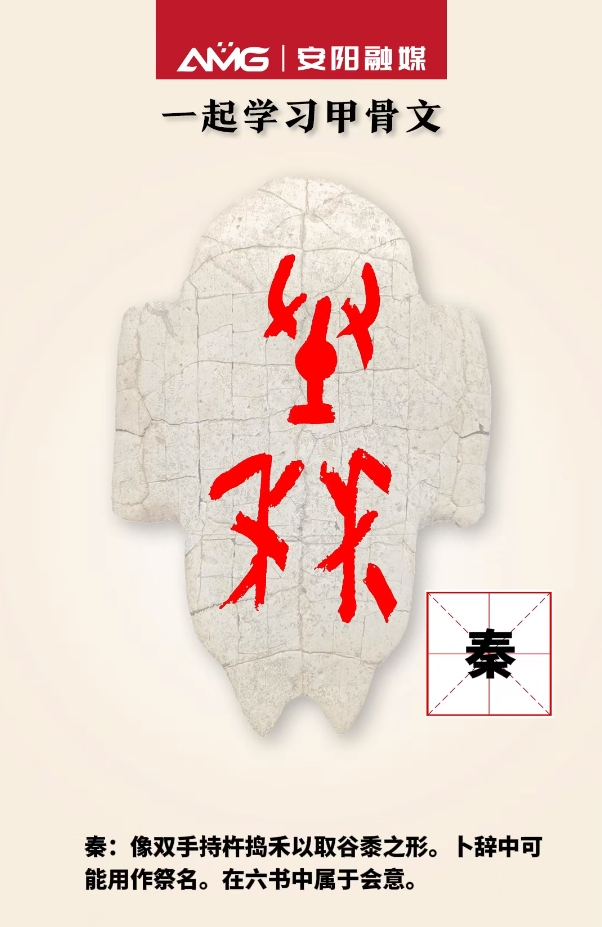 一起学习甲骨文秦