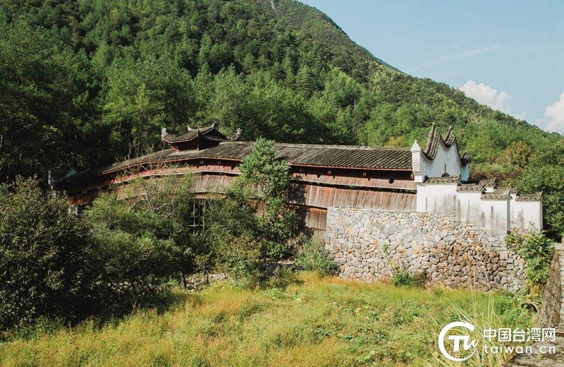 小香菇绽放大产业 浙江庆元香菇产业蓬勃发展_腾讯新闻