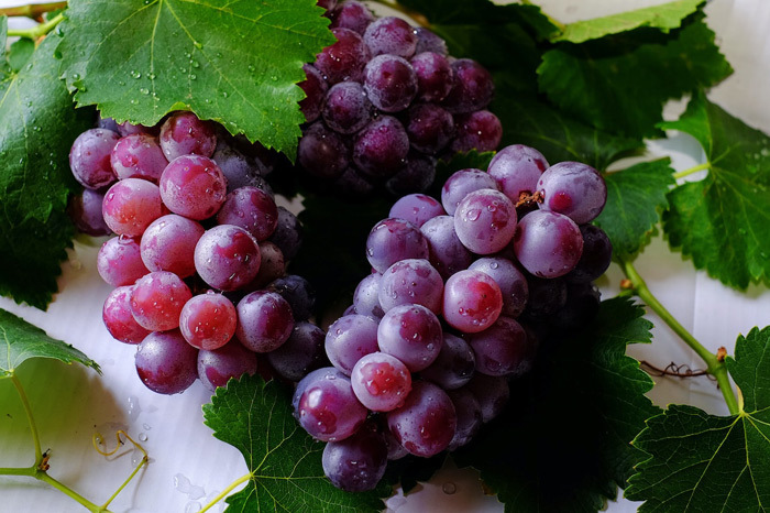 关于葡萄你不知道的6个事实 (6 fascinating facts about grapes)