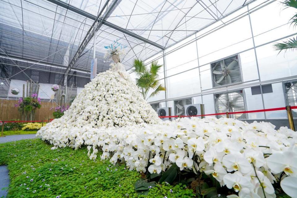 中国佛山蝴蝶兰新品种展览交易会开幕