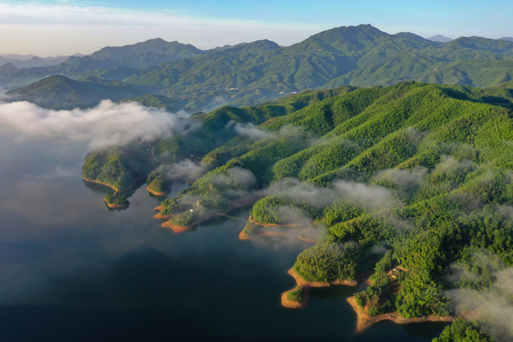 乡村振兴在行动|安徽六安:"红绿融合"绘就乡村振兴新画卷