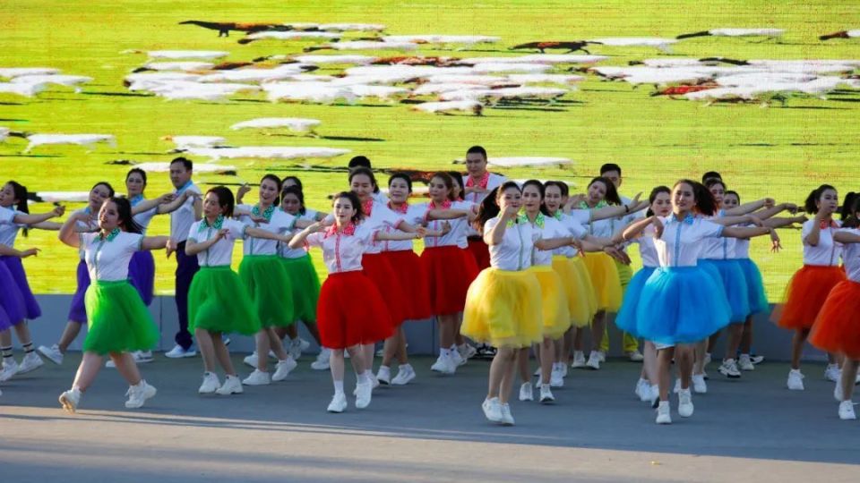 《激扬青春 舞出健康中国》《永远跟党走》《天蓝蓝》《你要跳舞吗》