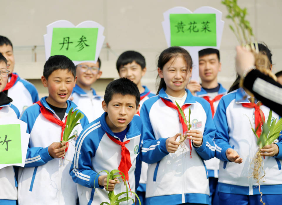 4月8日,青岛西海岸新区胶南小学的张老师在教孩子们如何种植辣椒