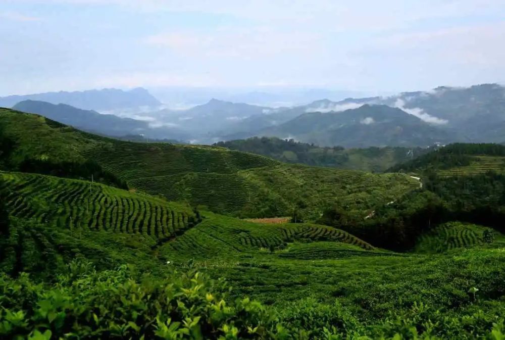 有一种叫云南的生活畅享文山丨麻栗坡名山风光如画