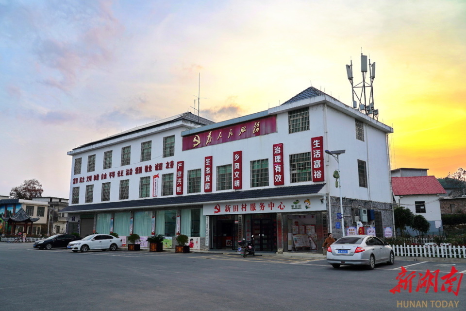 五峰铺镇油茶稻香产业旺文旅赋能助振兴