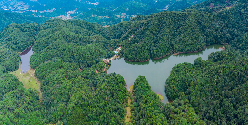 云南镇沅:稳步迈台阶 步履不停歇_腾讯新闻