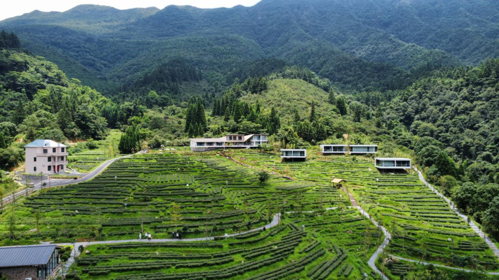 老区振兴新貌丨"三湾村"从红色村庄到旅游小镇
