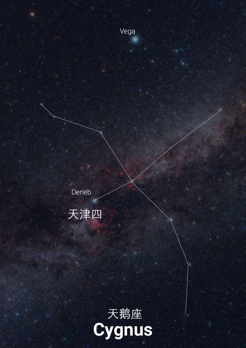 夏夜的星空有个"大三角",你见过吗?