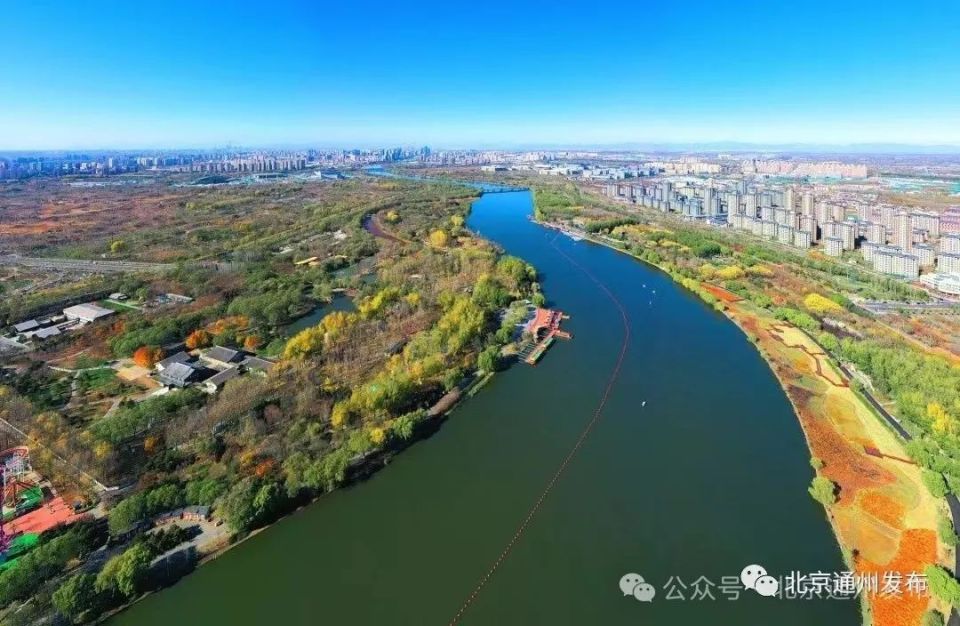 景区南区,大运河森林公园绿野葱茏,观鸟露营拥清风入怀.