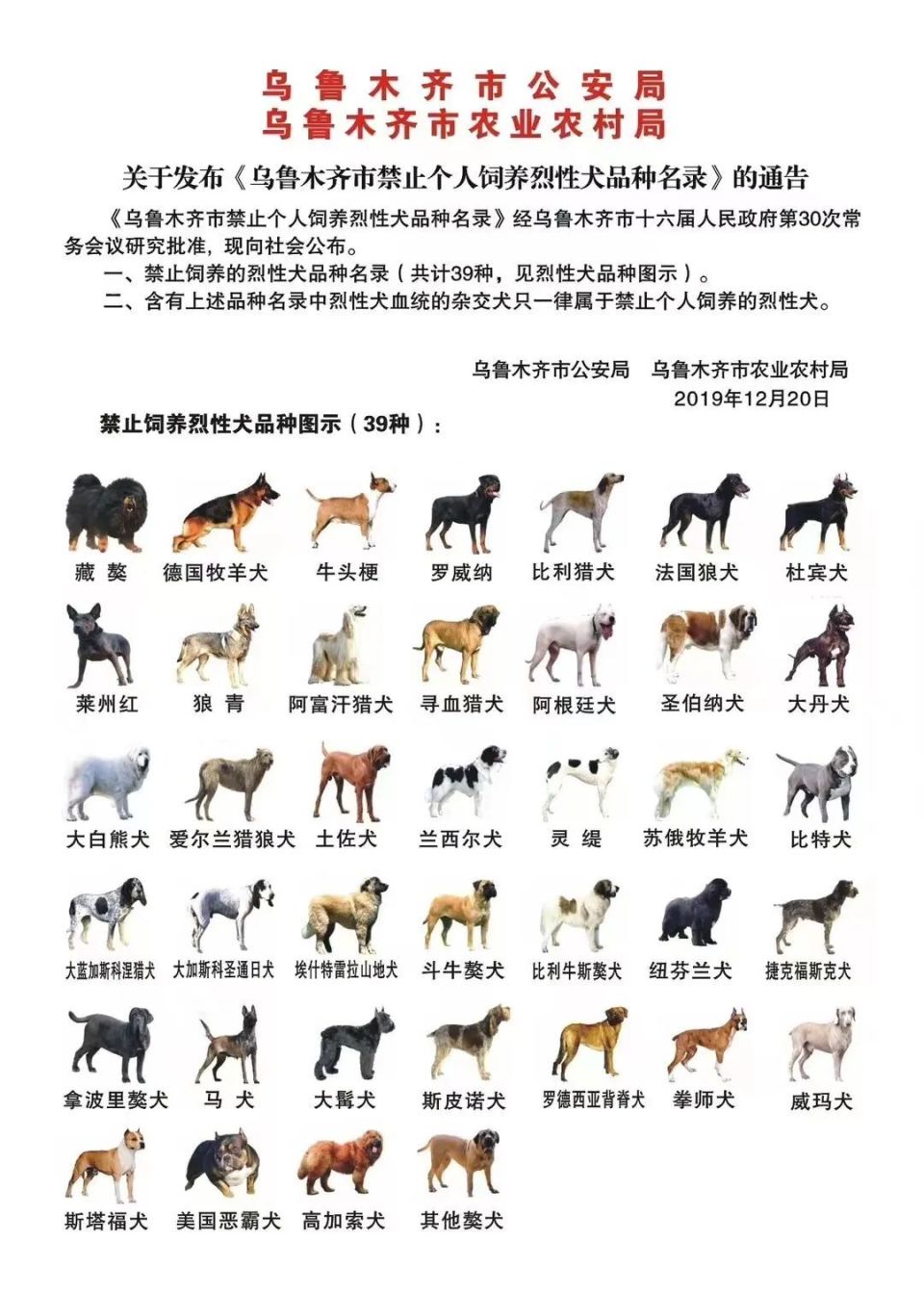 发现禁养犬只该如何举报？-腾讯新闻