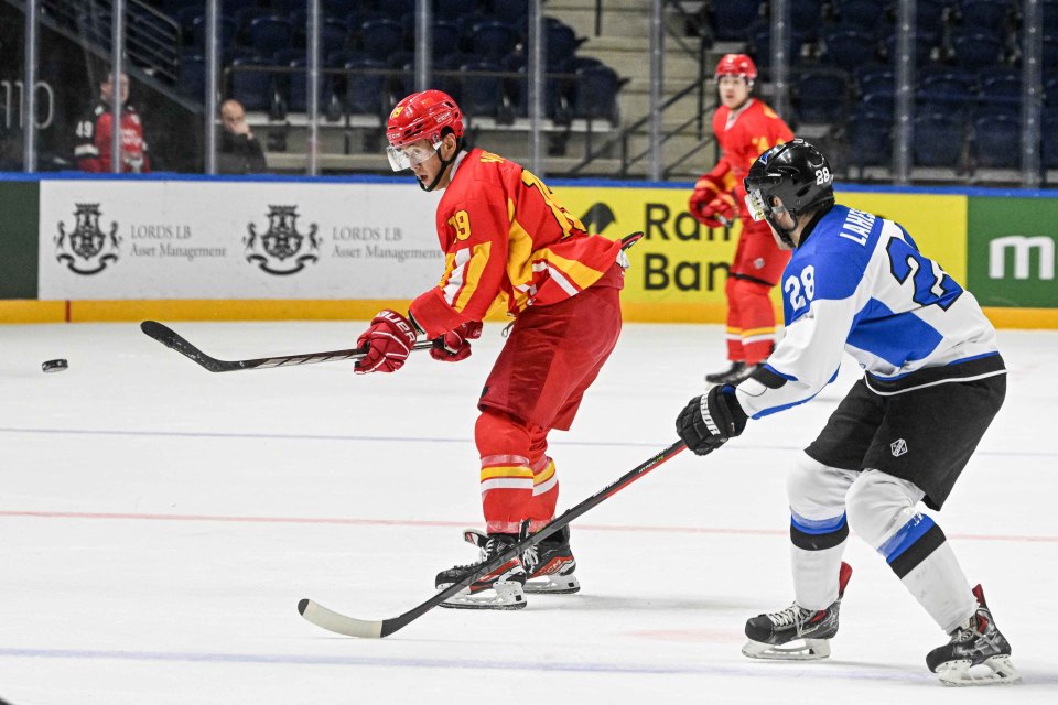 冰球——世锦赛:中国队不敌爱沙尼亚队