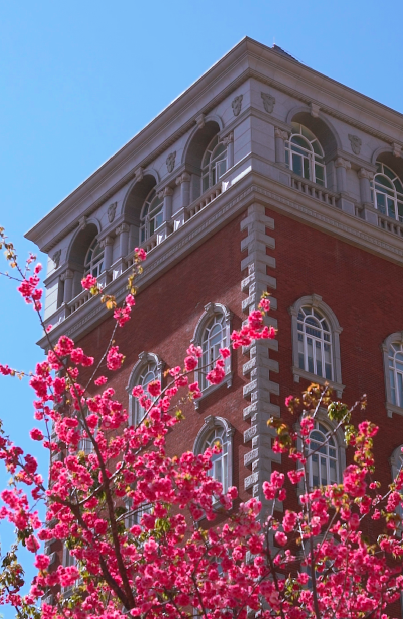 阅"呈"记 | 花开呈贡 春日校园——昆明理工大学