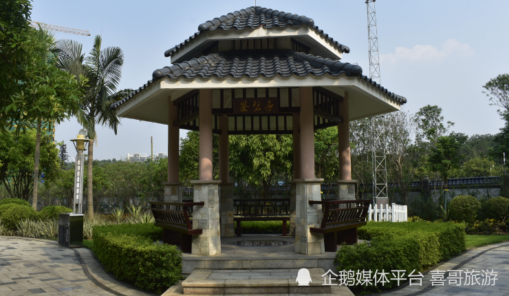 第六站,廣州國際生物島-大圍公園廣州國際生物島自駕至大圍公園交通