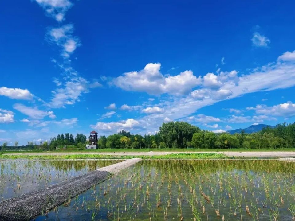 新中国第一座大型水库迎来70岁生日,重返北京饮用水源地指日可待