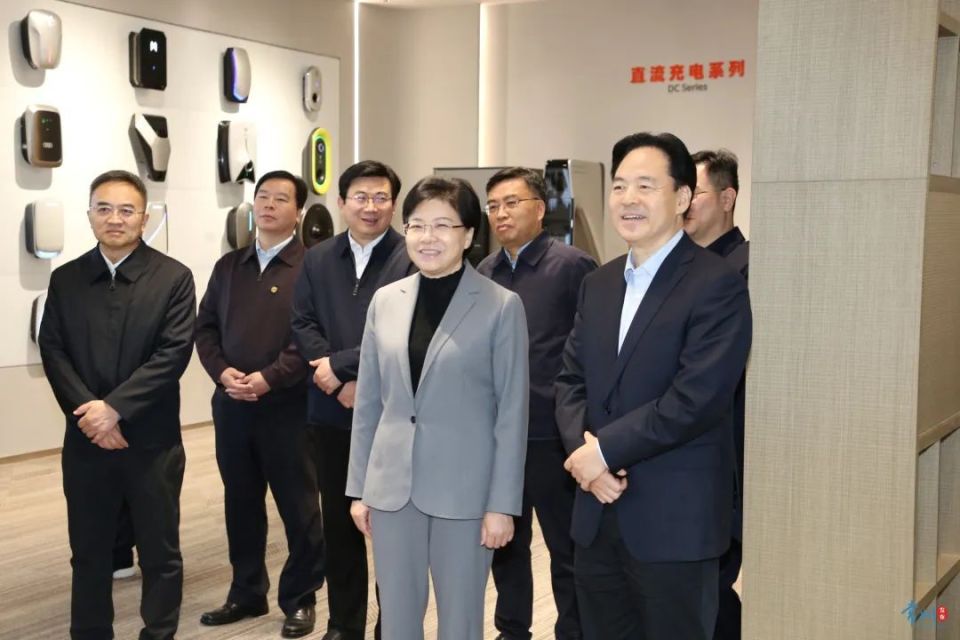 市和江北新区领导王华,杨学鹏,邓智毅,蒋跃建,戴华杰,刘伟,吴炜,黄辉