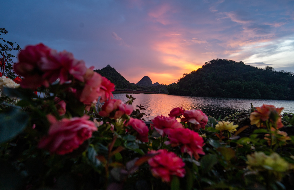 云南普者黑发展旅游产业助力乡村振兴