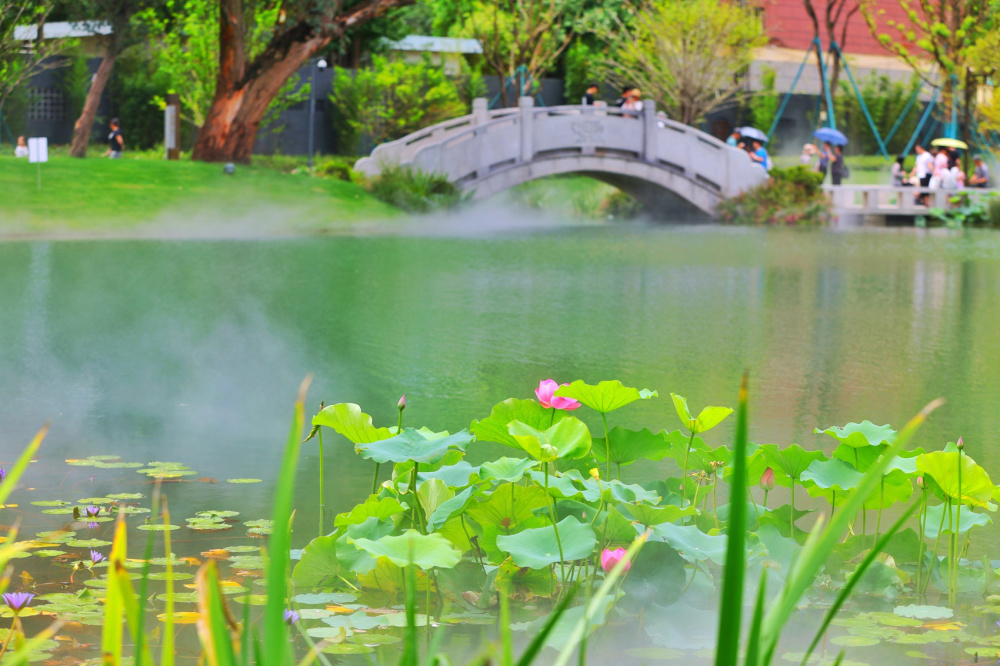 c视频成都中央的公园摩诃池今日亮相