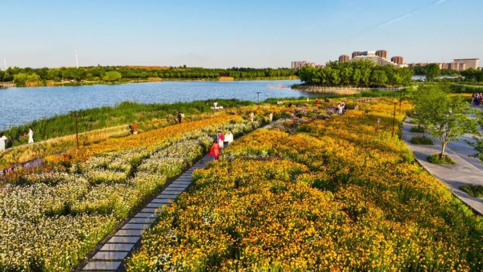 风景区淮南高新区中央公园八公山南塘八公山地质公园上窑高塘湖大通