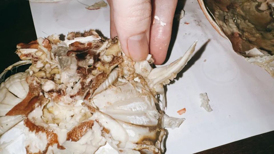 恶心!掀开后密密麻麻,还会动!专家:别怕,放心吃