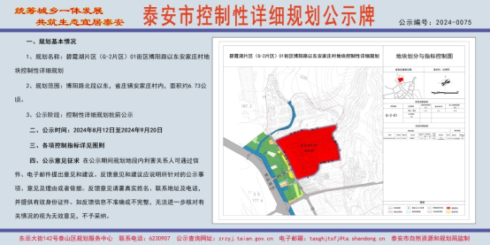 泰安徐家楼片区规划图图片