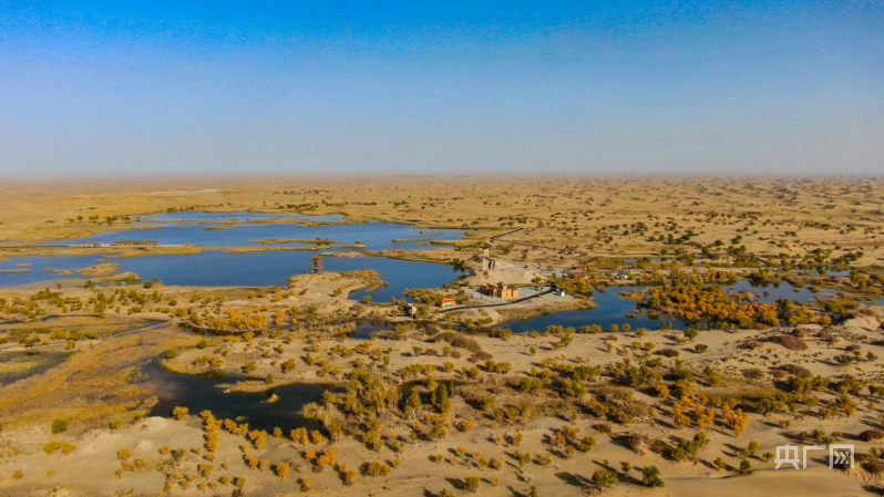 新疆且末县托盖布拉克景区迎来最美季节-腾讯新闻