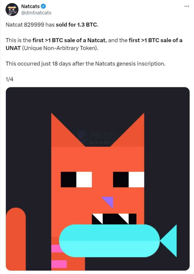 natcats一周狂涨十倍dmt小图片开启比特币nft新叙事