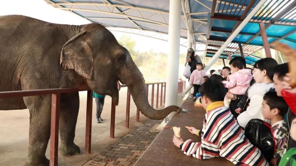 遊客探訪漢壽動物王國體驗自然之美