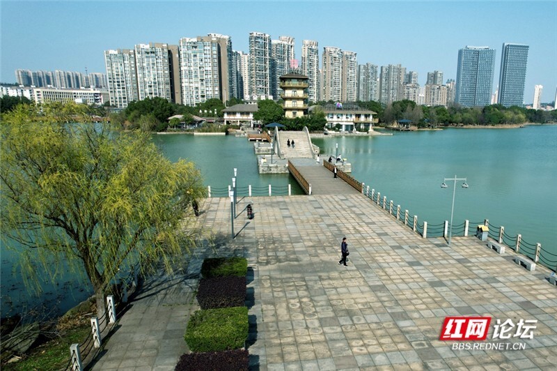 醉美踏春行丨春来碧水柳垂帘,航拍长沙月湖公园之春_腾讯新闻