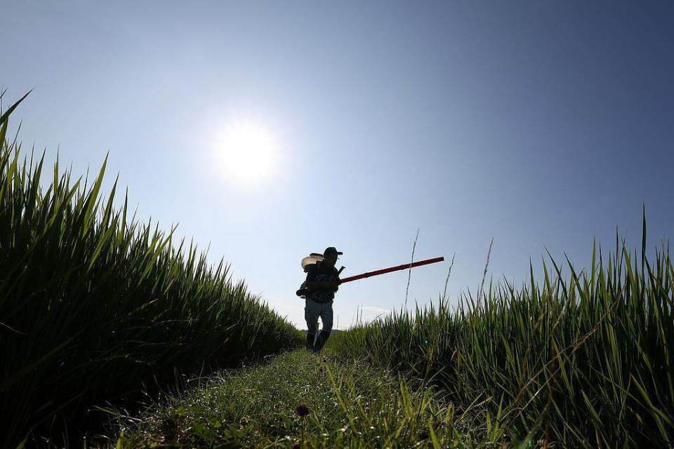 美国的7500怎么表示早安!世界丨美国与欧盟达成15%税率关税协议；全球首个！这一岛国计划全体移民_https://www.jmylbn.com_新闻资讯_第7张