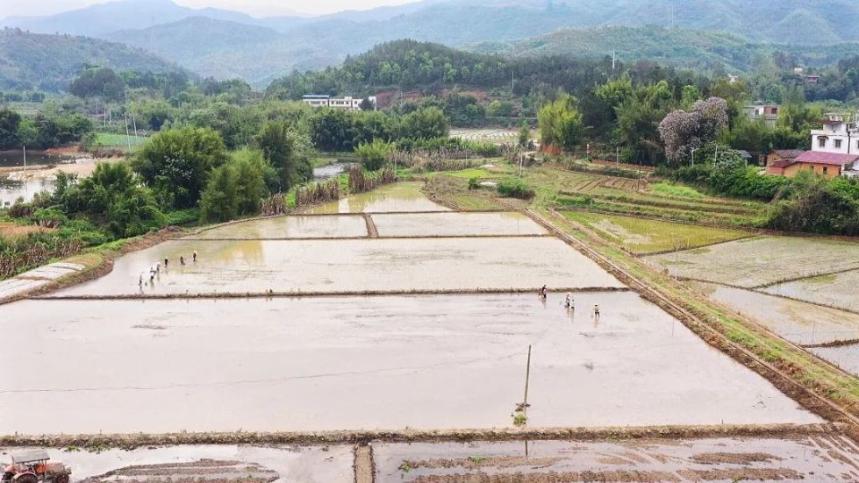 主田镇:擦亮生态文明建设底色 谱写"绿美主田"高质量发展新篇章_腾讯