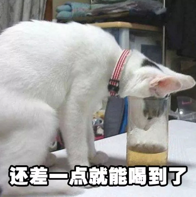 猫咪能喝酒吗?