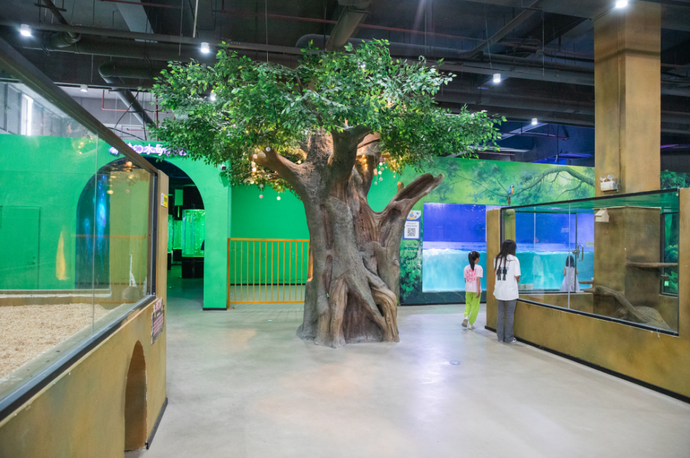 佛山最大海洋亲子乐园,来了