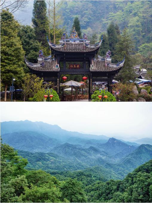 【双语】你好!中国 | 青城山,一座有"仙气"的山