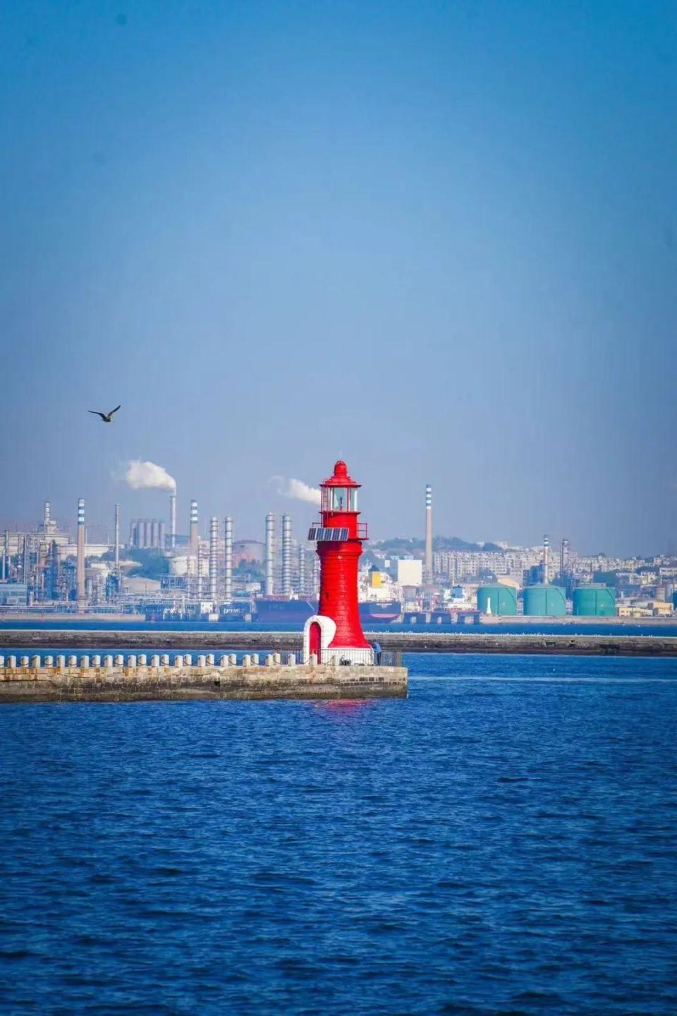 大连市文旅局局长单美娜:为全面振兴新突破三年行动决战决胜贡献文旅