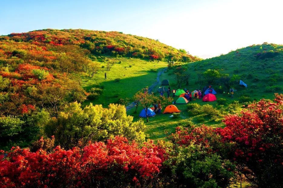 活动时间:4月19日-5月14日活动地点:八卦脑景区主办单位:石城县文化