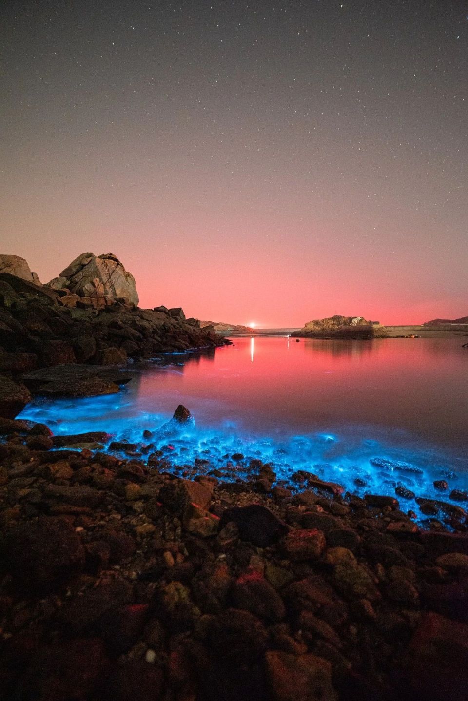 蓝眼泪:自然写给人类的十四行诗