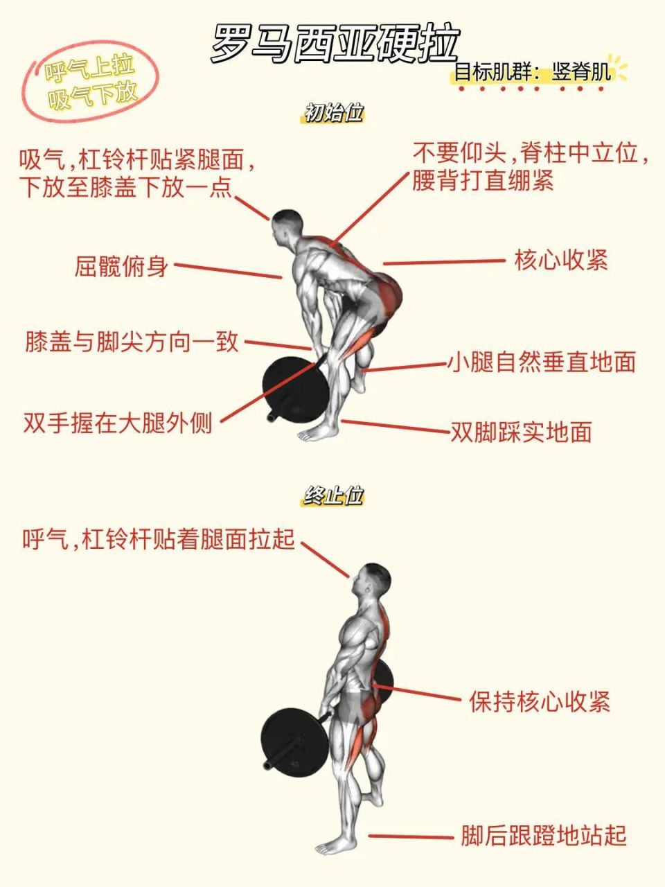 分享私教背部训练动作合集 ️背部线条感_腾讯新闻