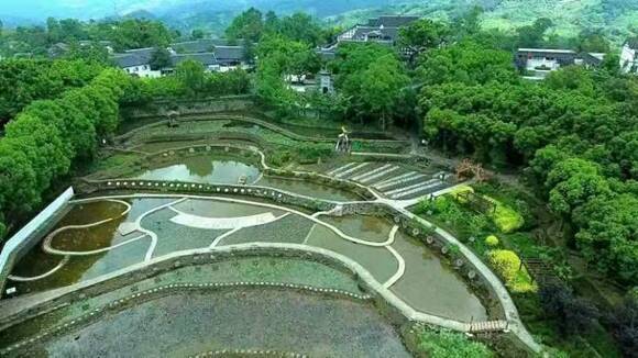 职能部门和企业支持,把陶行知先生纪念馆,育才学校旧址,草街航电枢纽