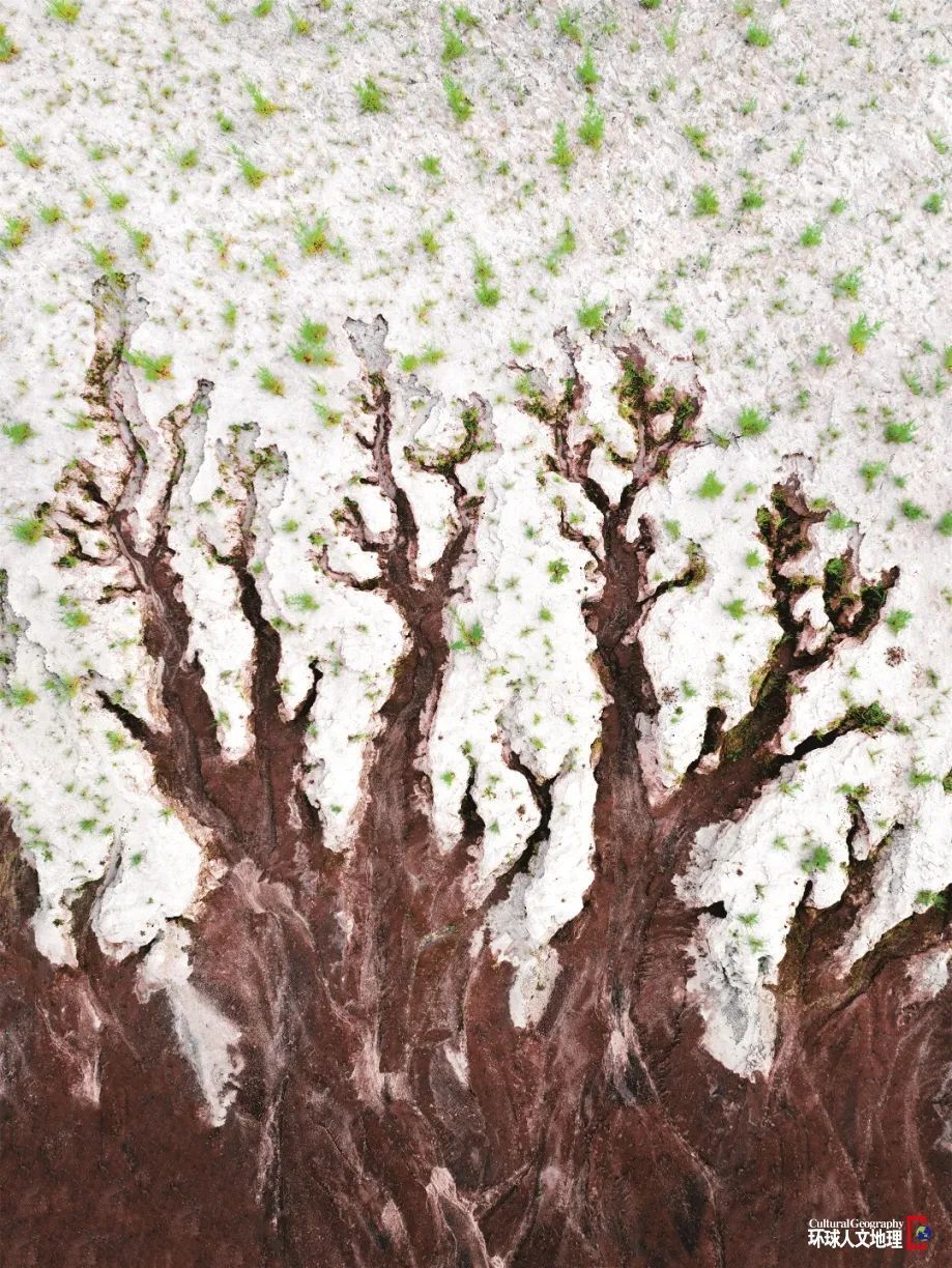 新刊丨《环球人文地理》2024年6月号:探访黄河三角洲