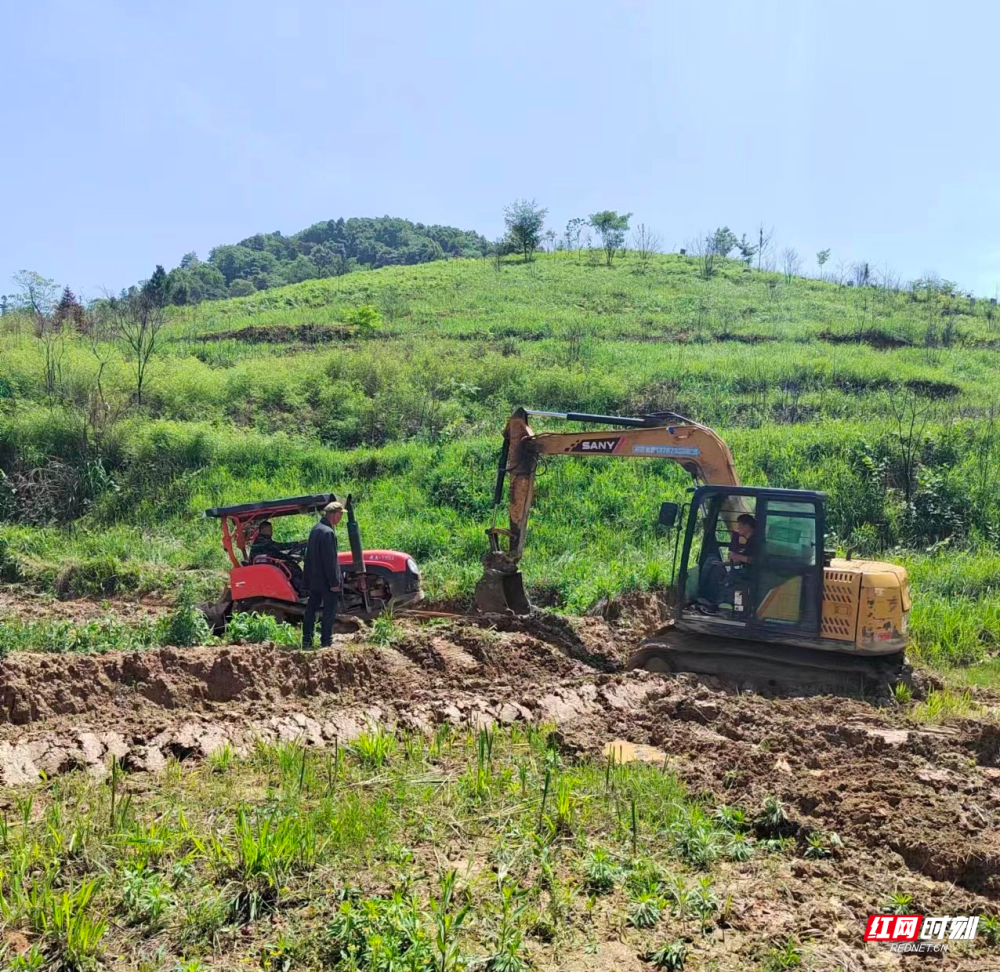永兴县高亭司镇:耕地抛荒治理有成效