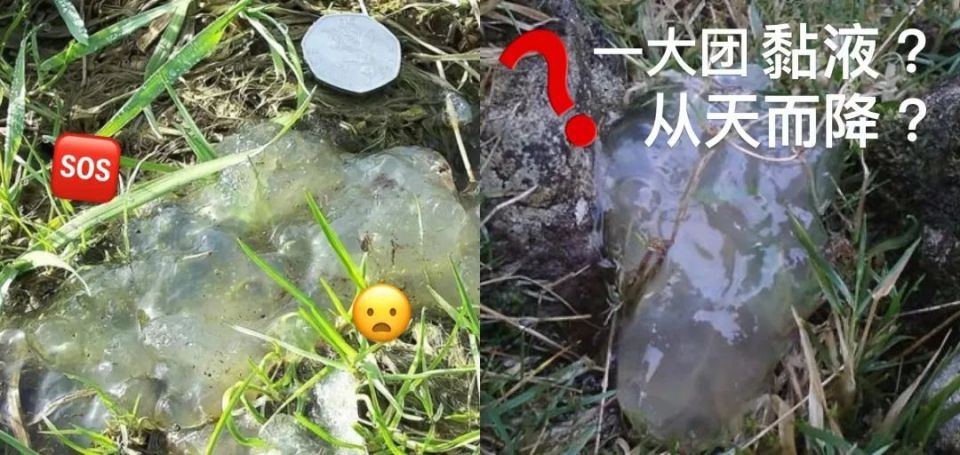 天上掉下一堆堆神秘粘液这种怪东西是什么世界各地都落下这种奇怪物质